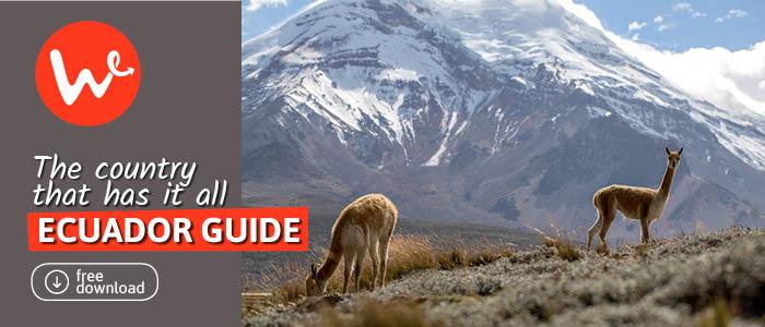 the ecuador guide